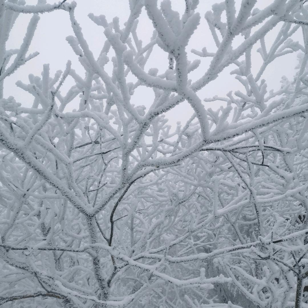 ꪋꪆ꫁⁵²⁰雨落꧔🎀᭄