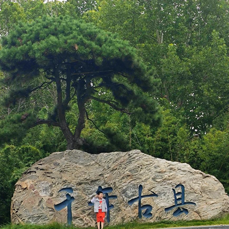 向日葵的微笑