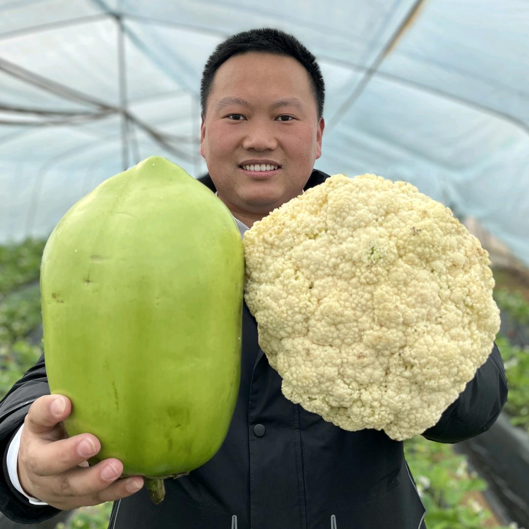 孙大圣讲农技