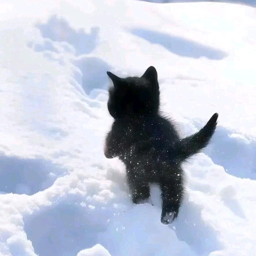 半甜可乐ᥫᩣᯓᗜ: 🍿 •́ o •̀