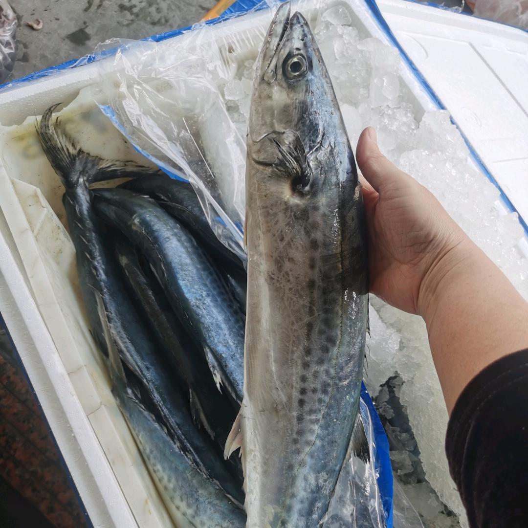 凤妹海产