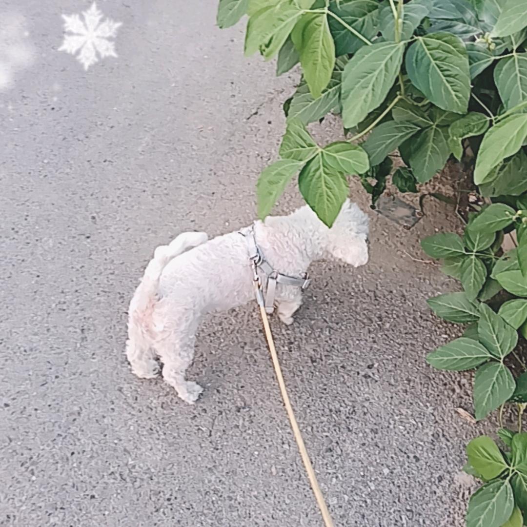 不忘初心（曹秀君）