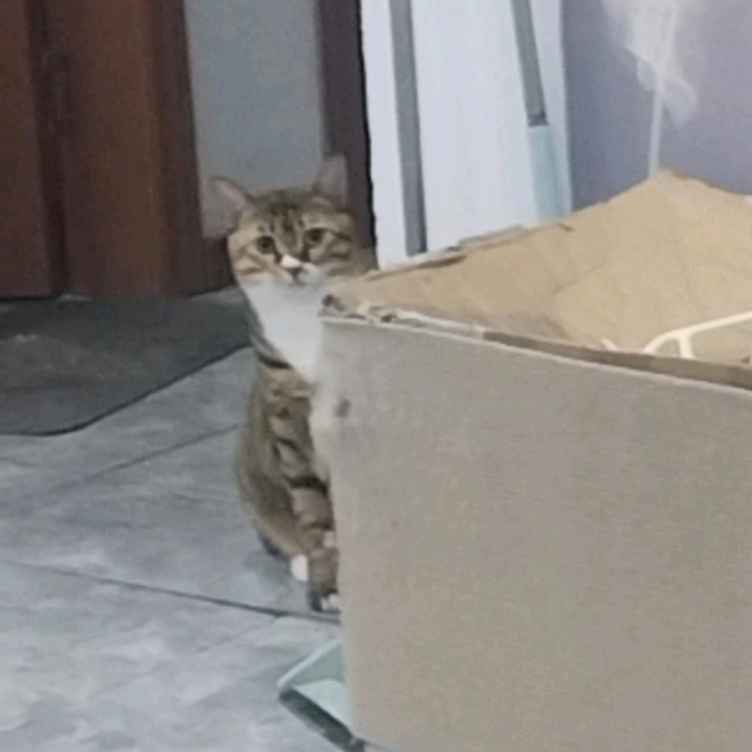 我也不知道叫什么