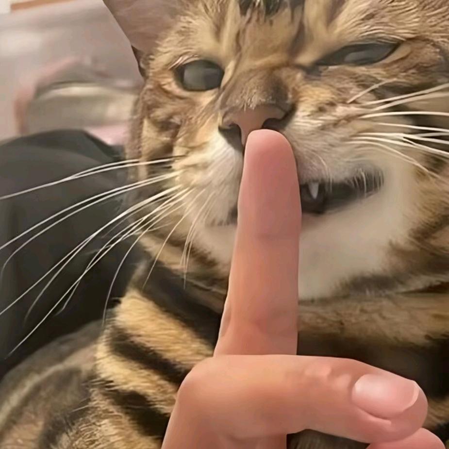 反反反复复复