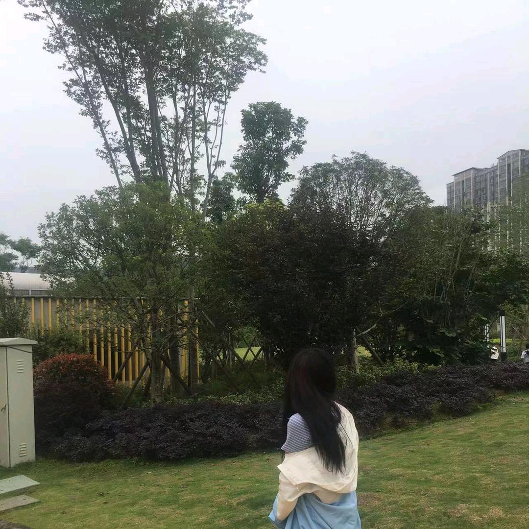 毛悦悦