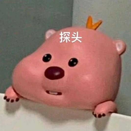 树懒人