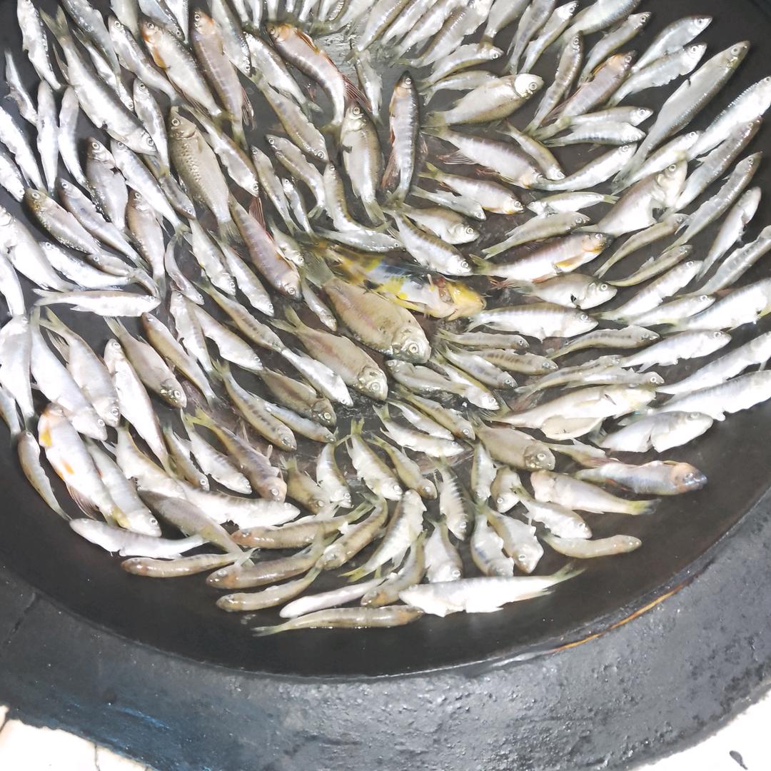 钓鱼大叔（5220）