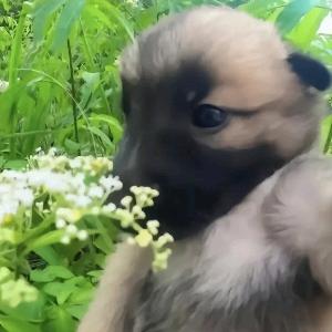 牛霸天