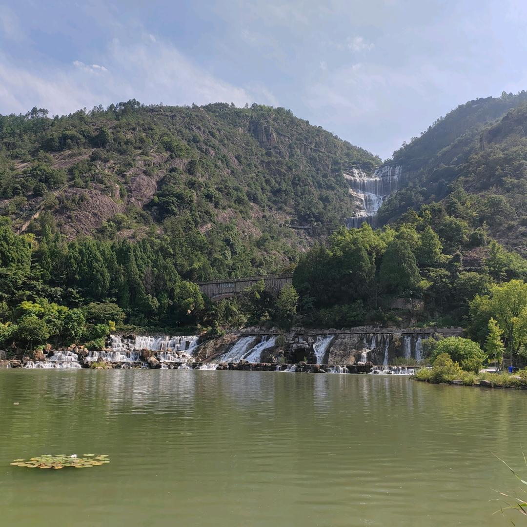 很野的杰