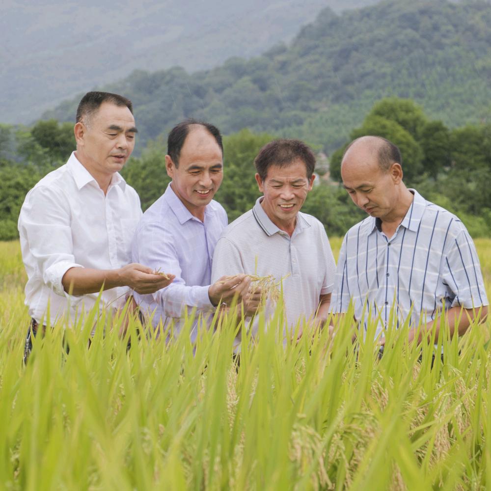 湖南生平米业股份有限公司
