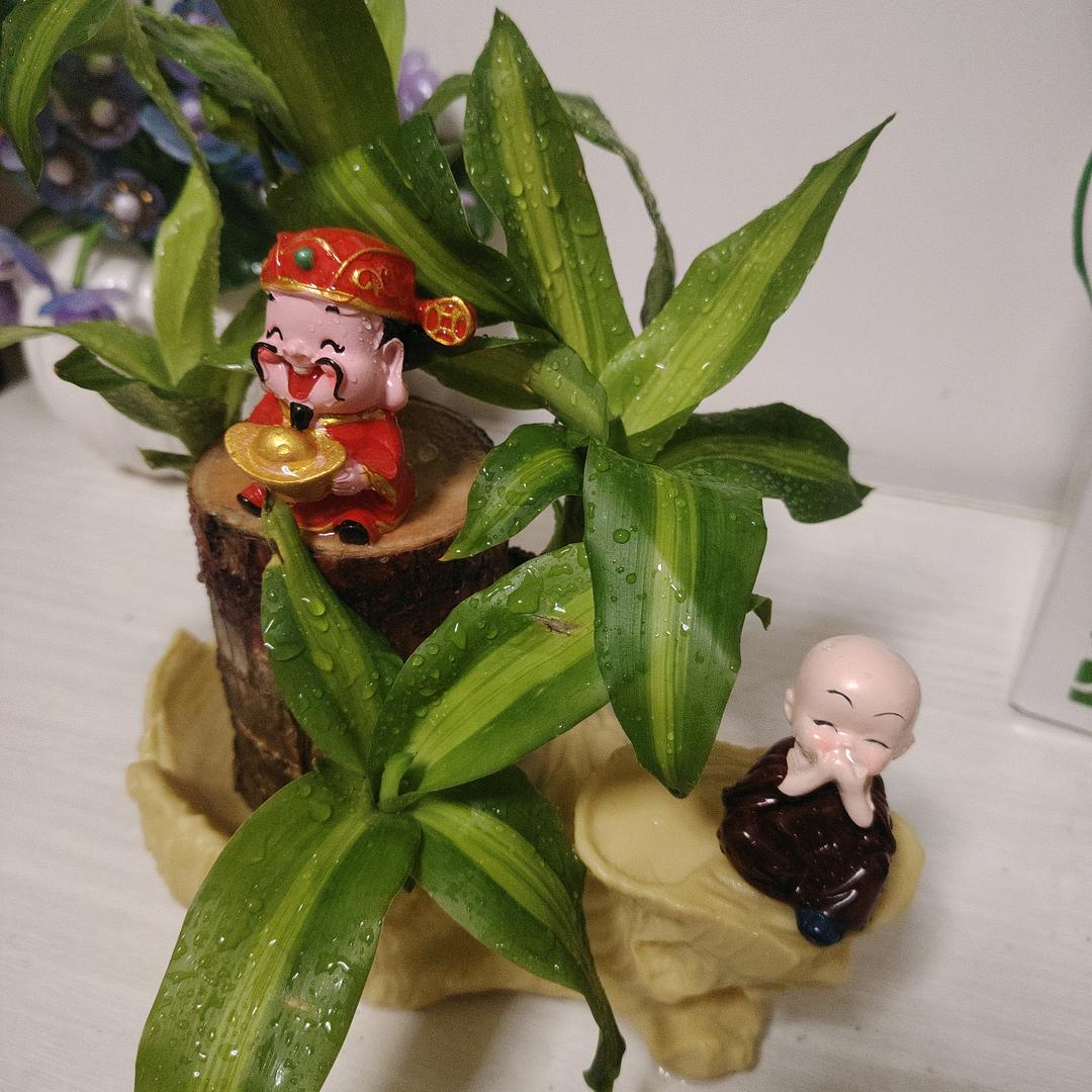 于妹妹