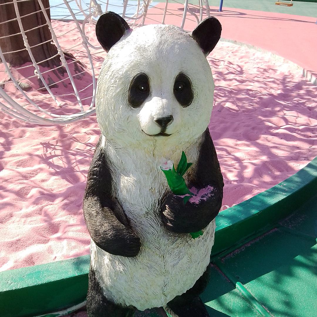 从头开始