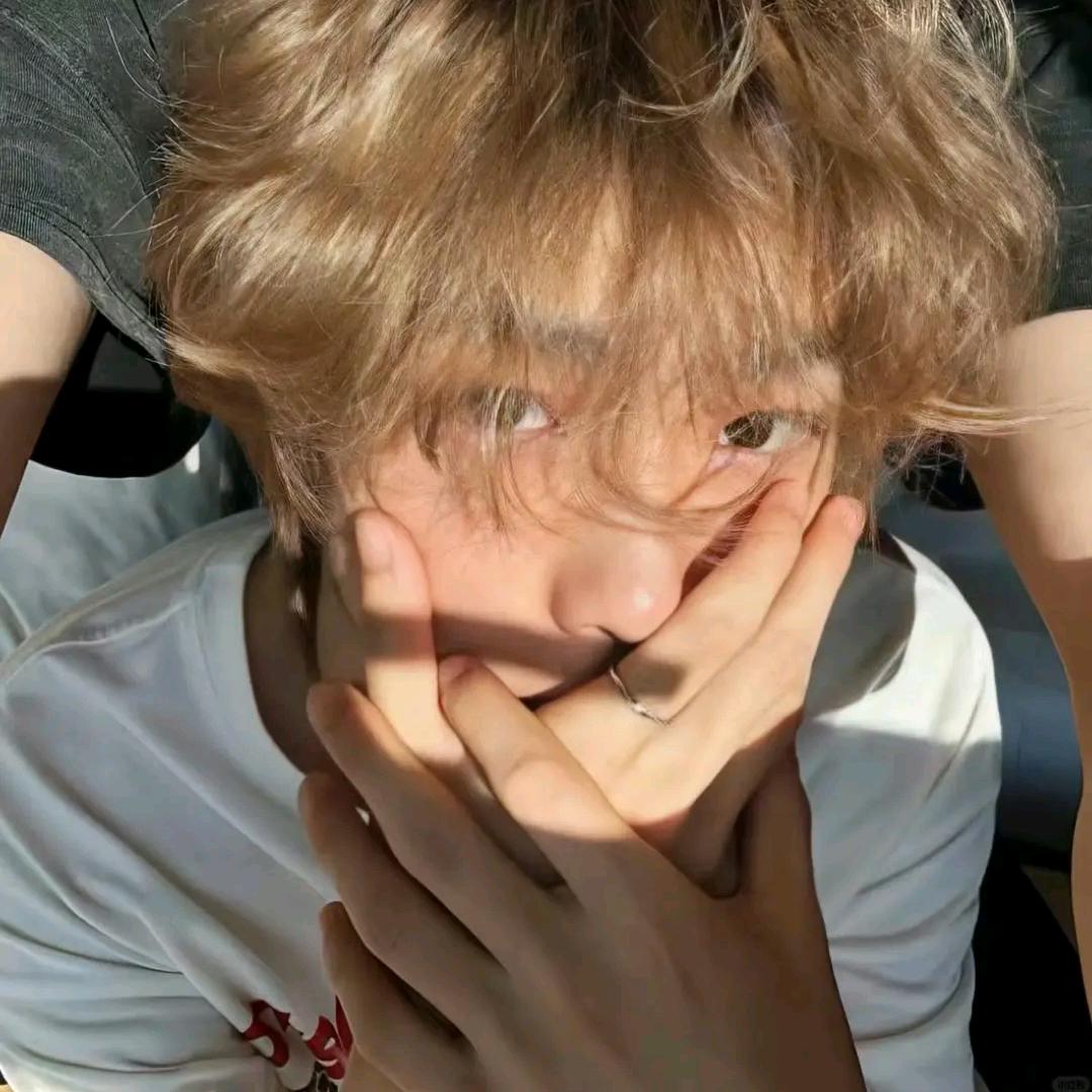 飞飞机的吴彦祖