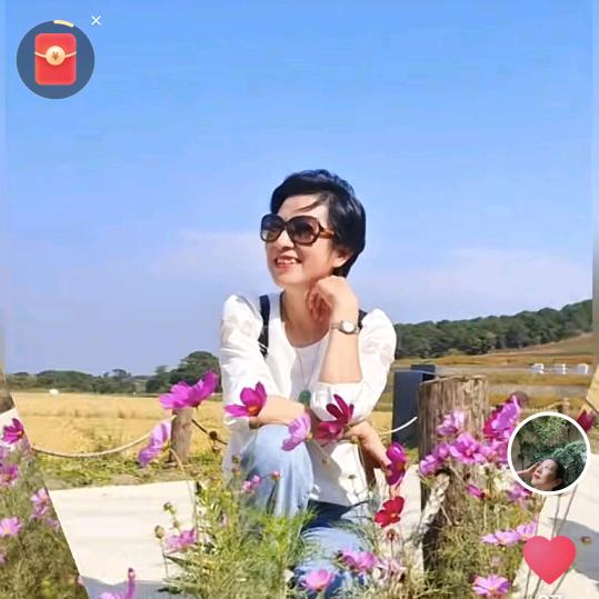 夏卫红