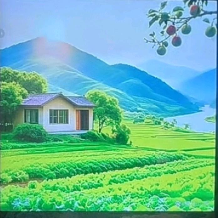 香子姐🌸🌼🌻