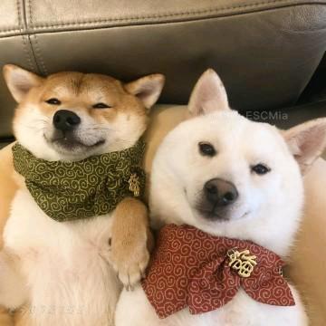 萌萌观世界