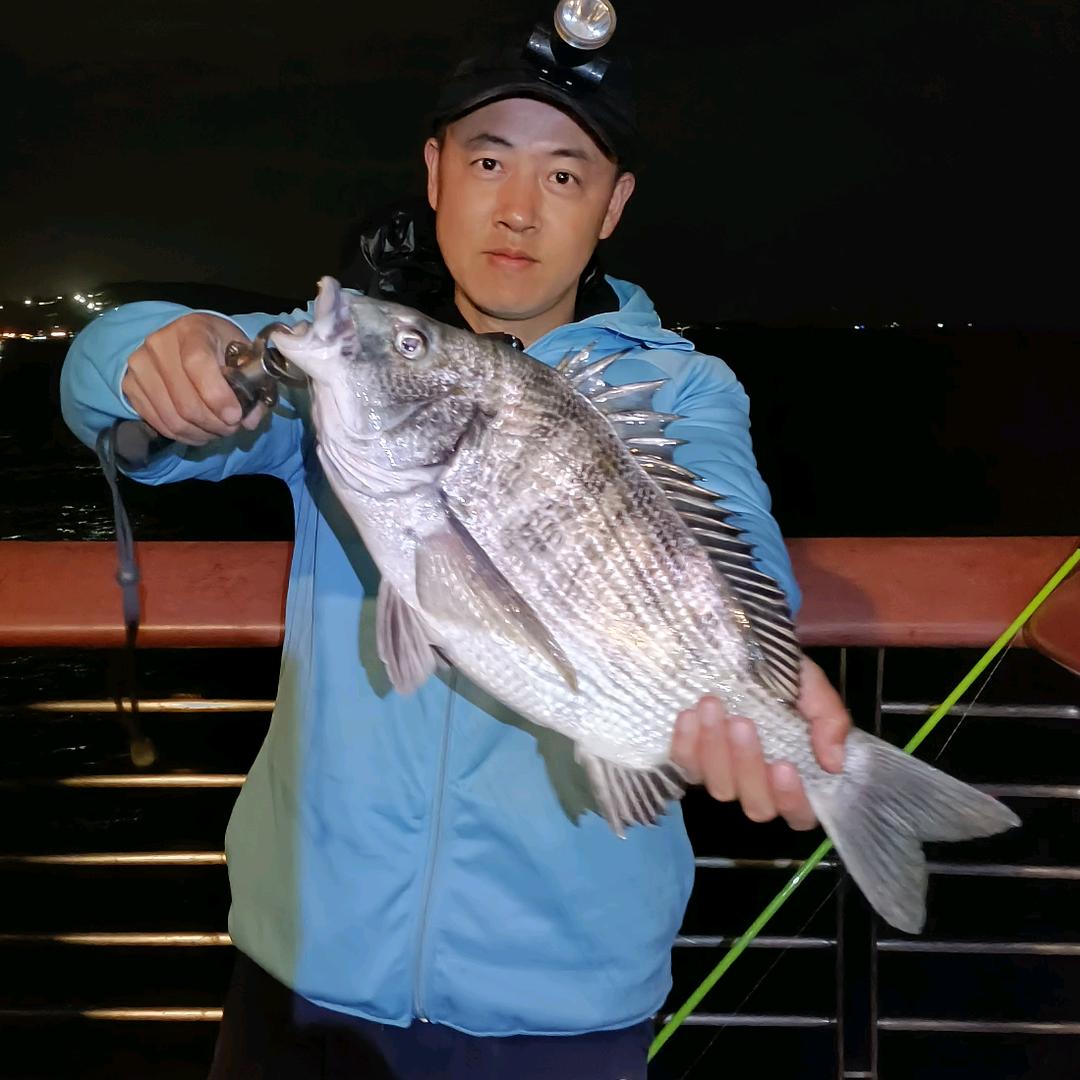 海钓不打龟