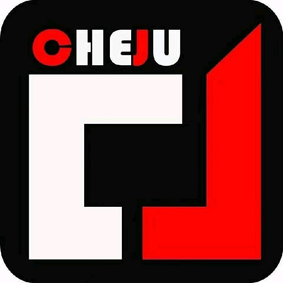 石家庄车驹汽车脚垫定制工厂