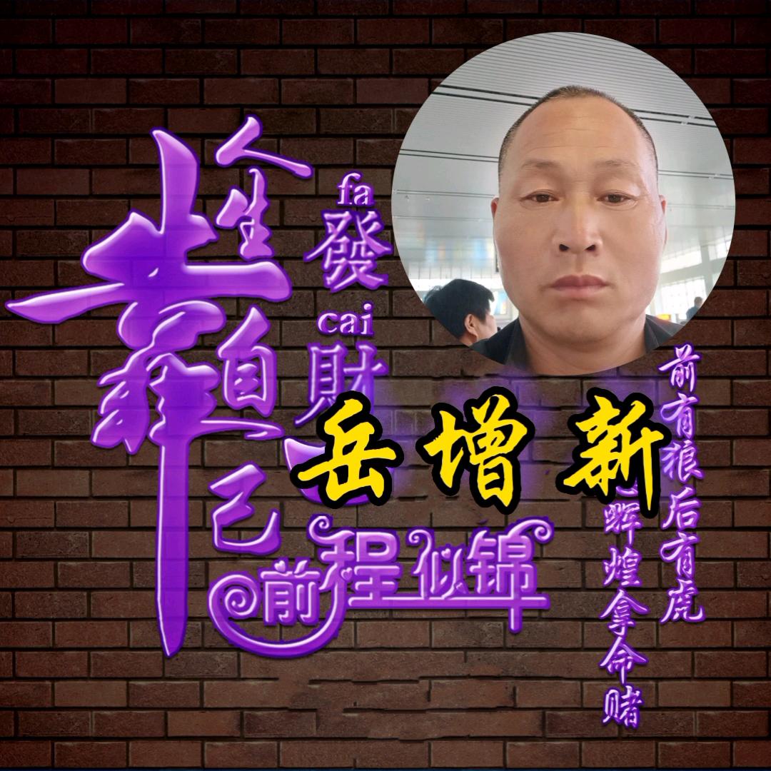岳增新
