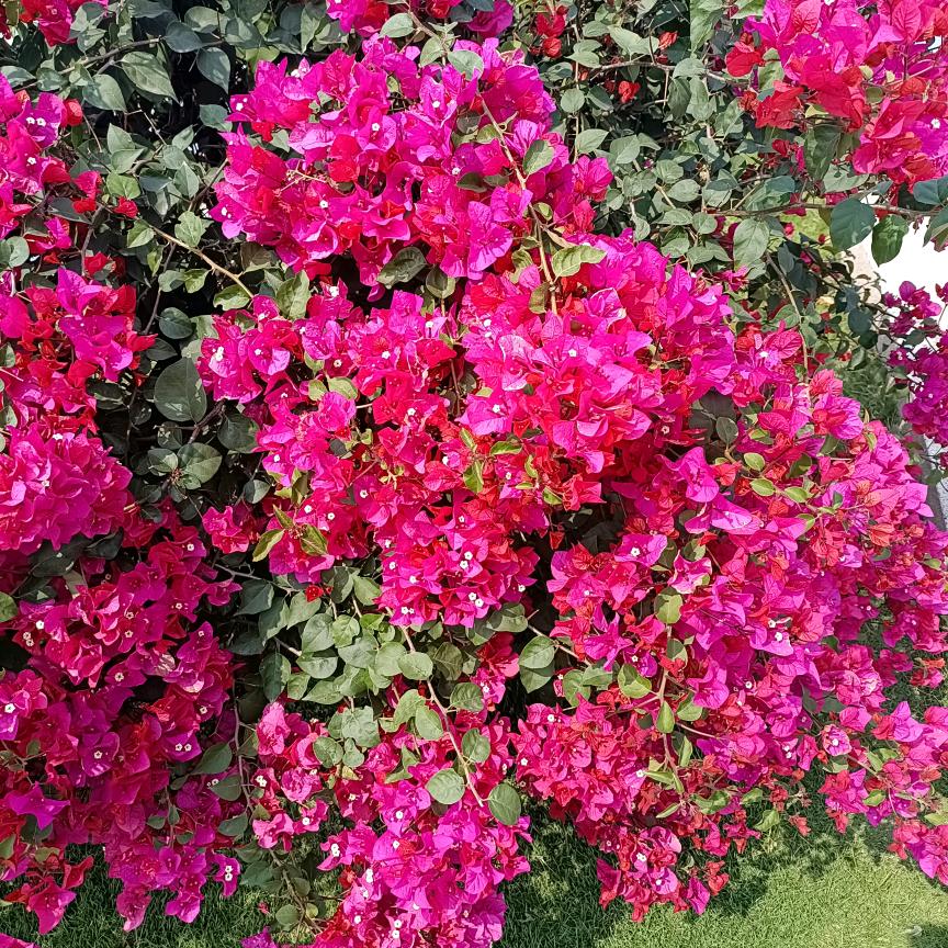 放弃吧，不值得拥有