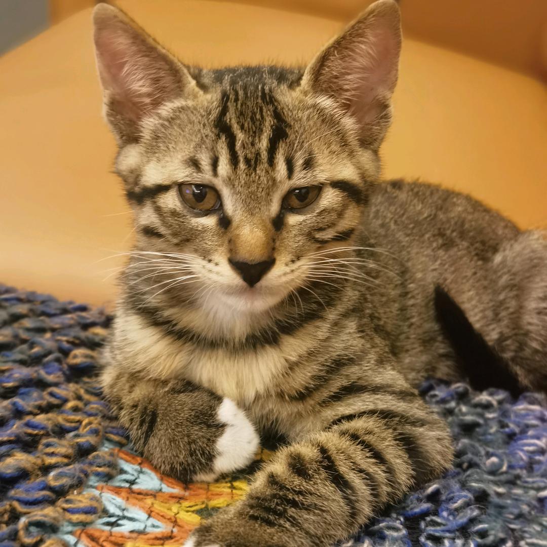 大胆And小谧の六一