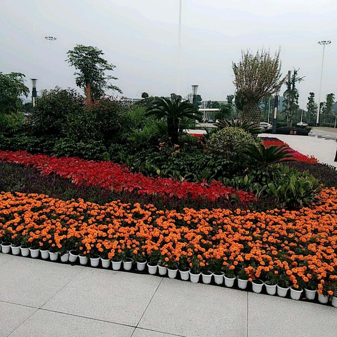 雨中飘荡的回忆