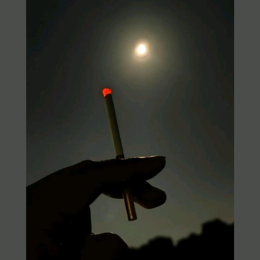 余生🎉随心💕