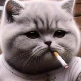 兜兜里有小鱼儿