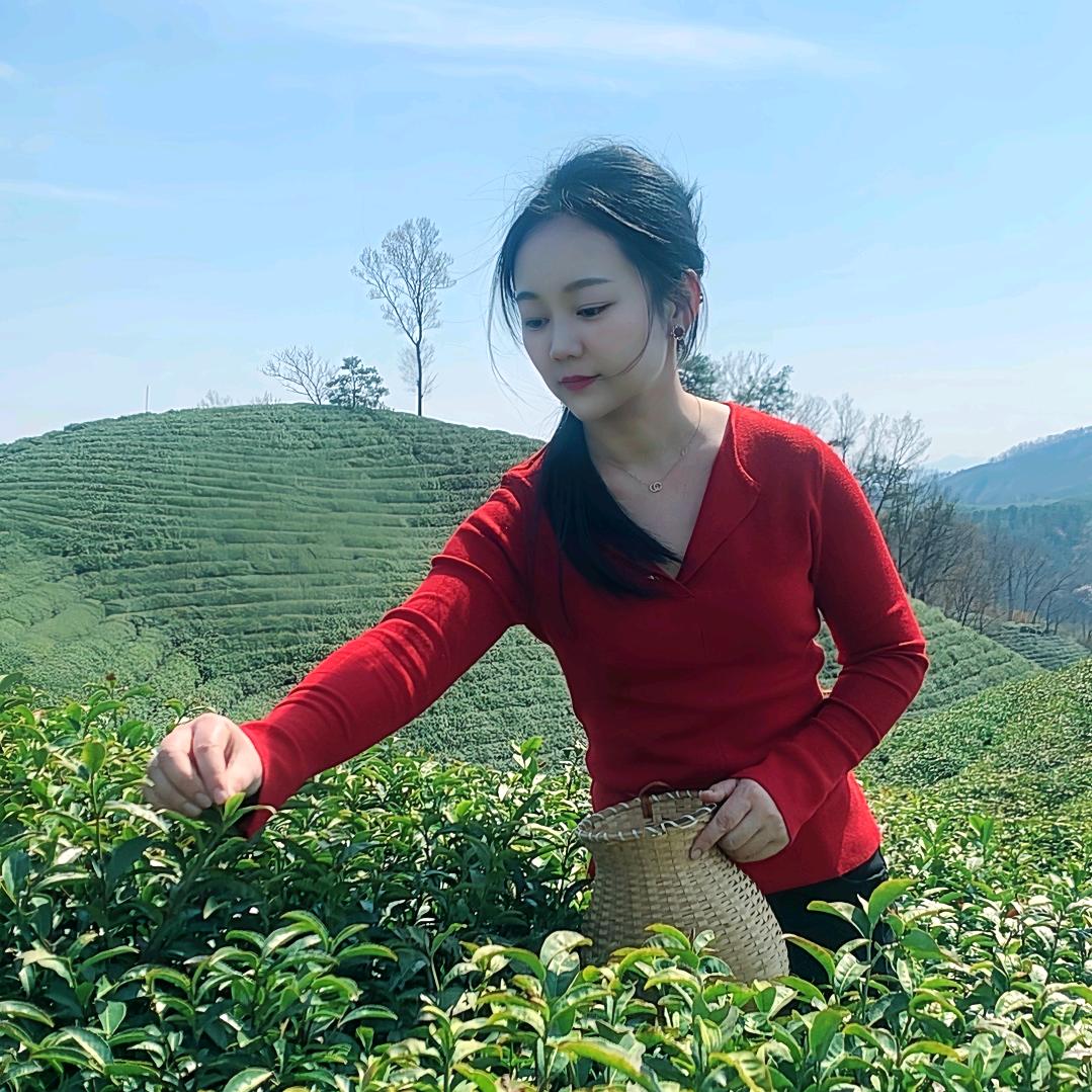 稳稳的小茶村