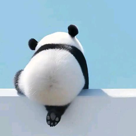 大頭是只喵