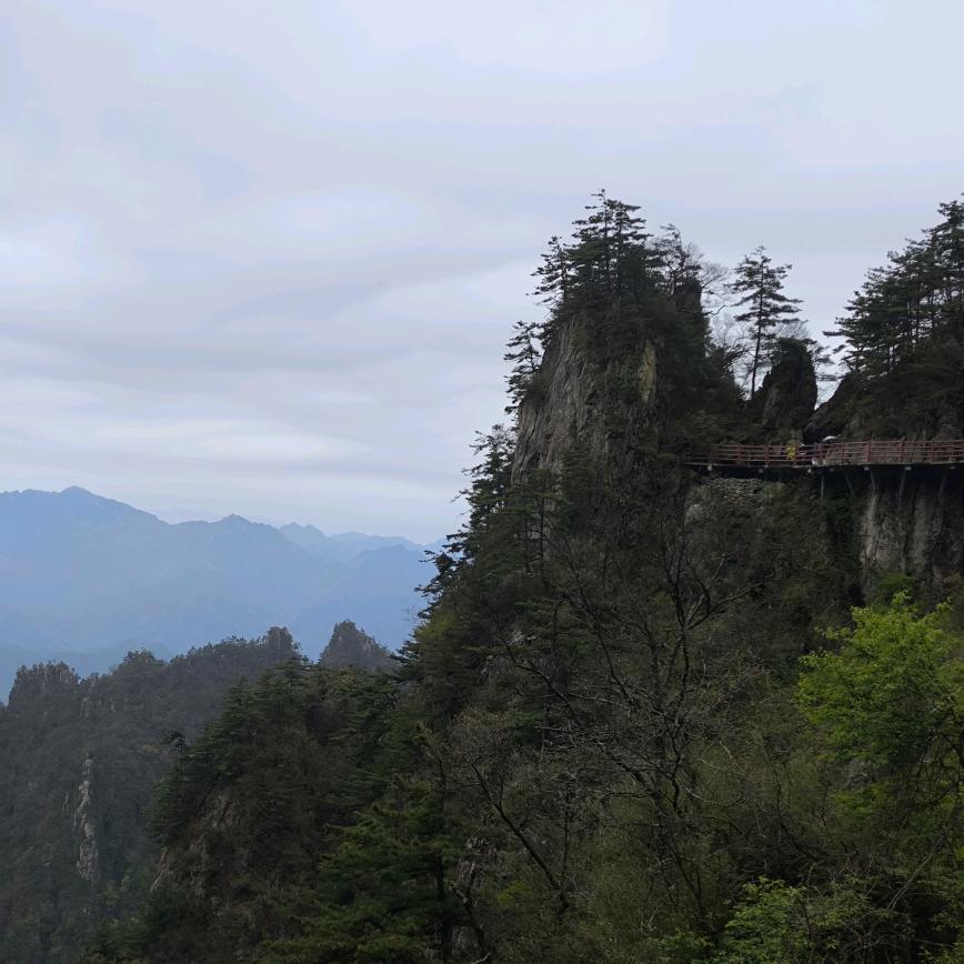 是我是我还是我