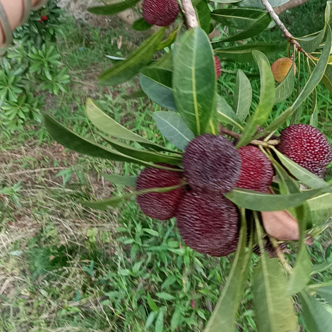 美好的一天