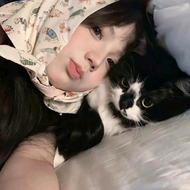 靓猫百货