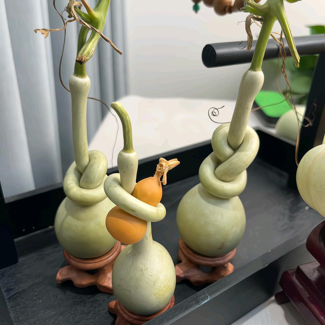 鲁韵葫芦甄选【老二家】