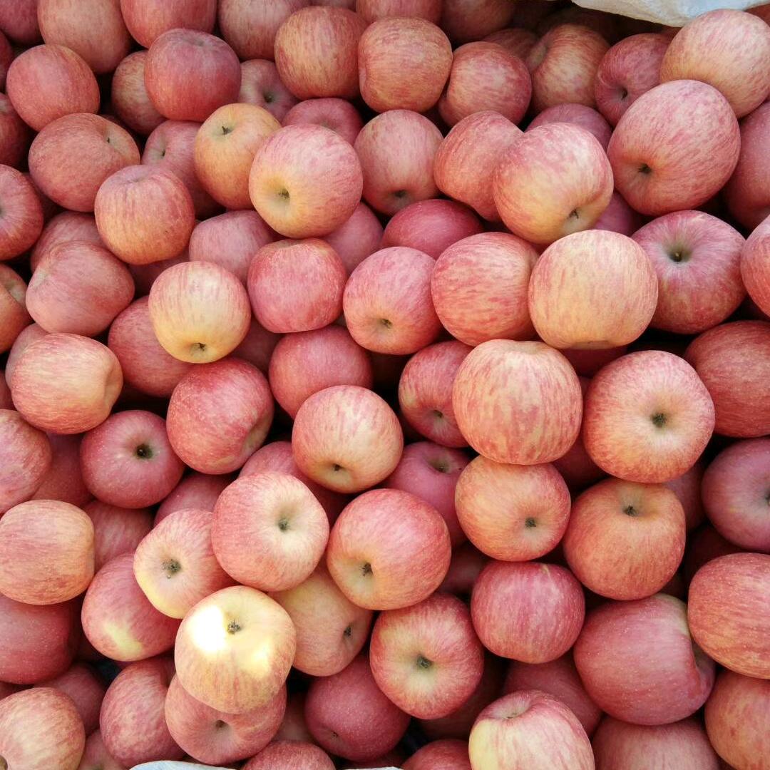 冷艳冰雪(野生蜂蜜销售中)