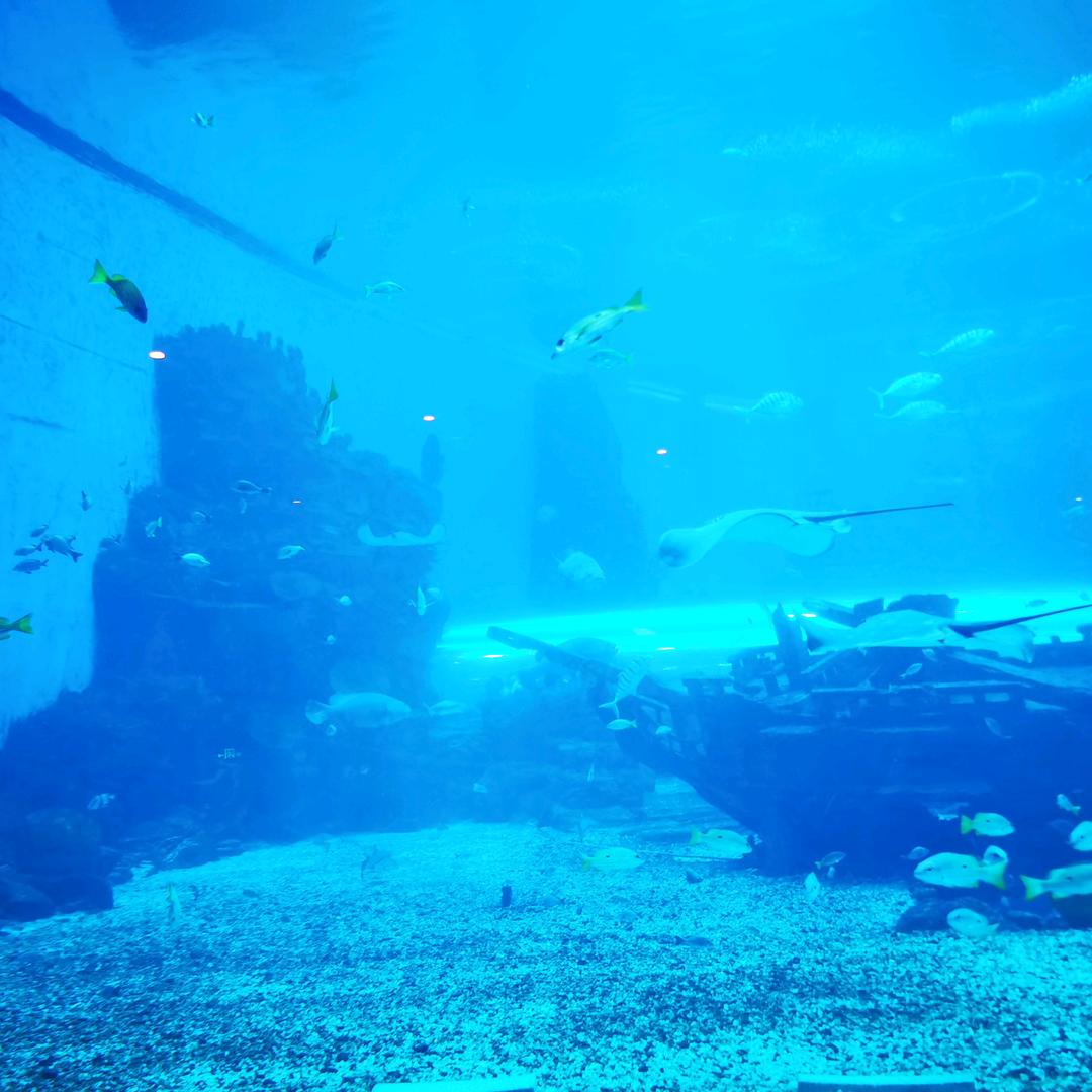 嗯嗯嗯嗯嗯明白