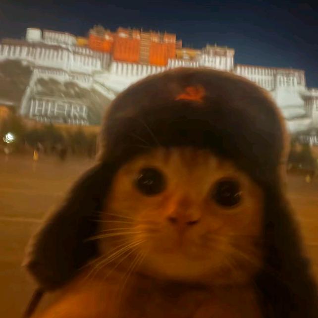 道长，没有灵根真的不能修仙吗！