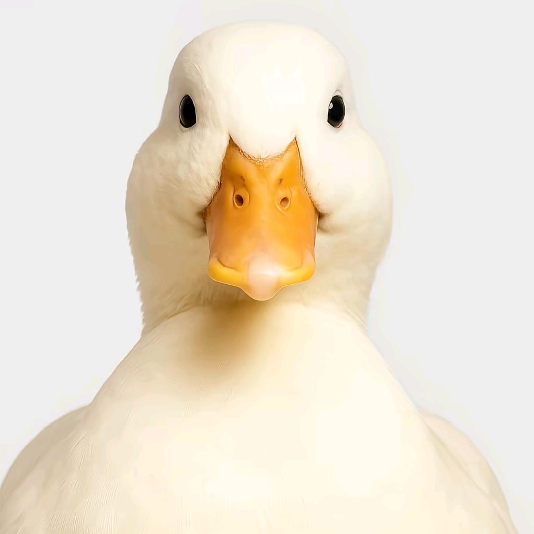 北海亿德农副产品好货店