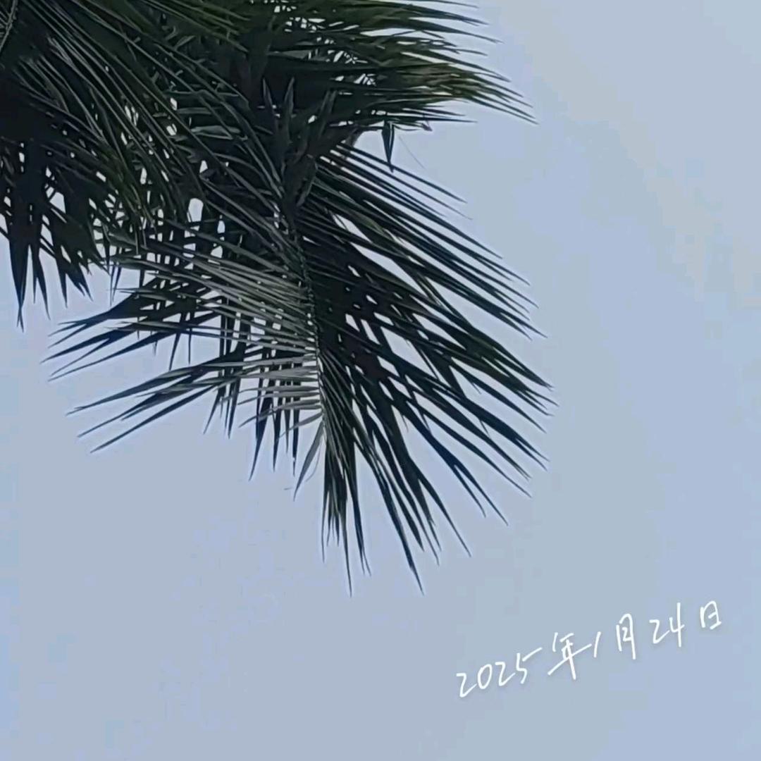 梦初醒