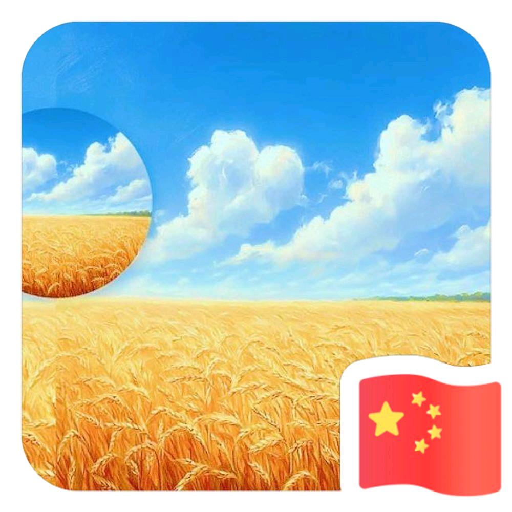 中央集团