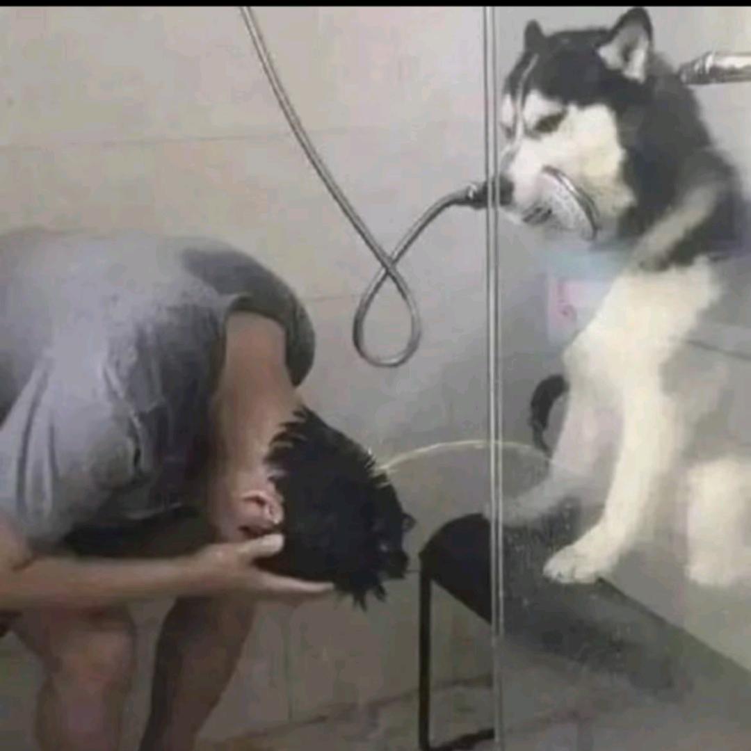 小七的老爹