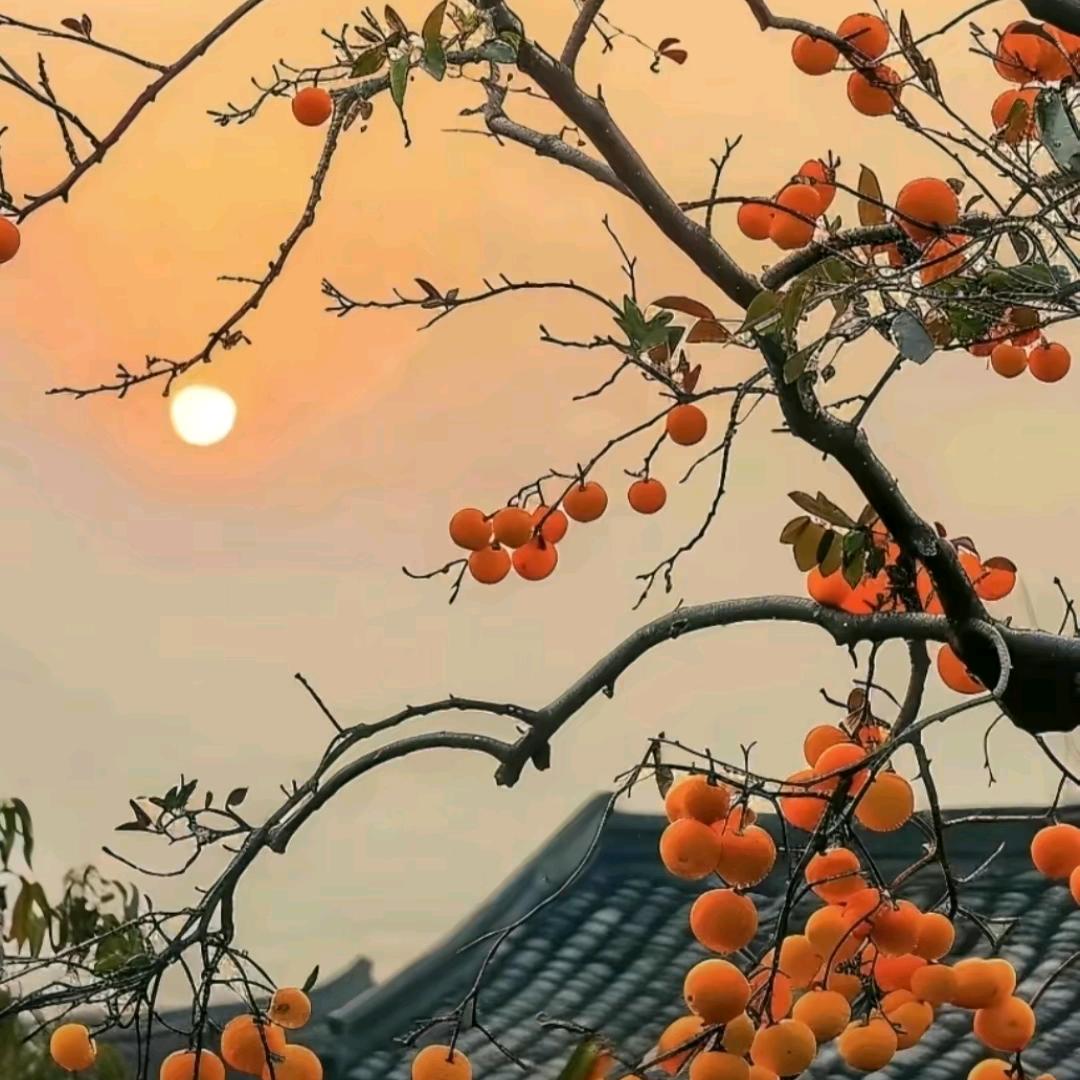 火柴