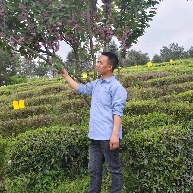 李师傅