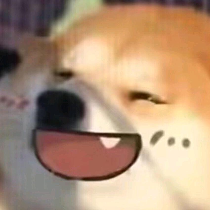 敢敢的快乐生活