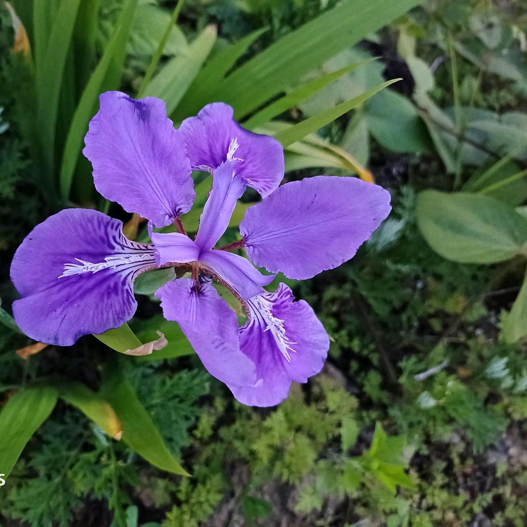 南川区福南桥瓷砖，瓦