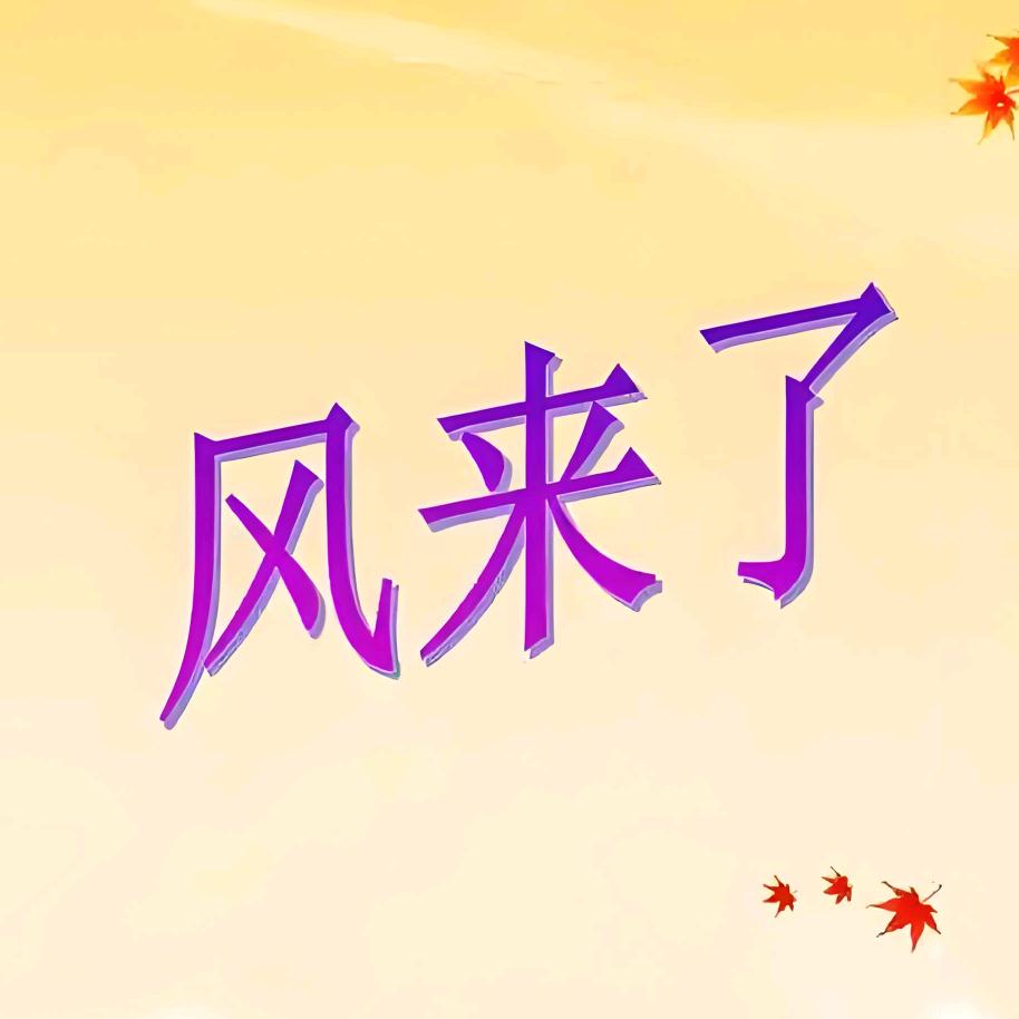 风来了