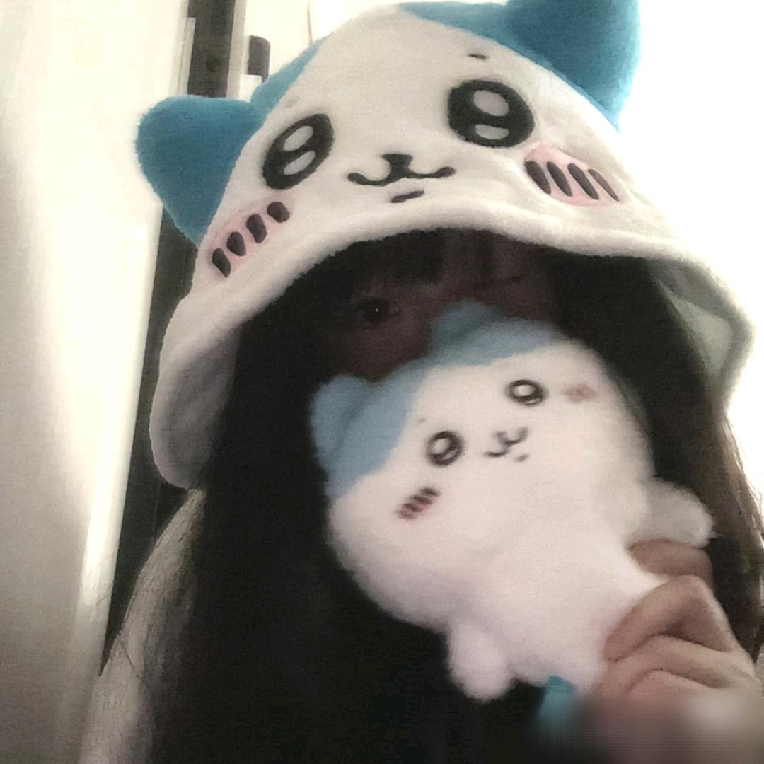 ^下了猫猫雨'-%
