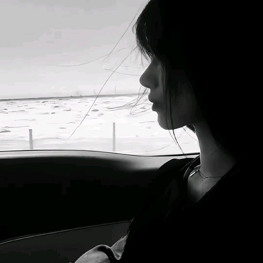 单调11