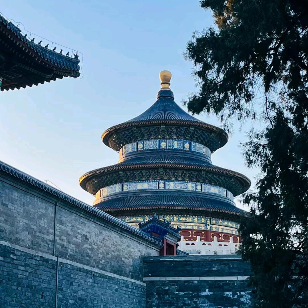 东莞港澳桔顺
