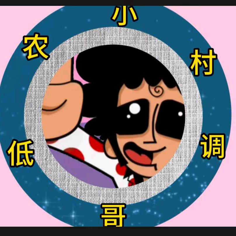 农村低调小哥